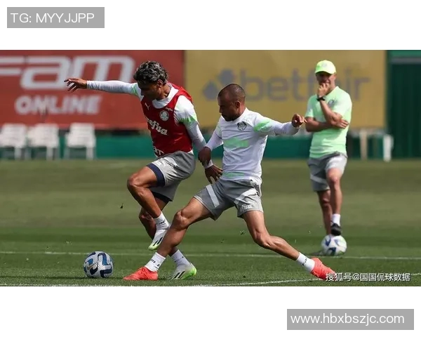 帕尔梅与图库曼对决前瞻分析及比赛结果预测 帕尔梅与图库曼对决前瞻分析及比赛结果预测