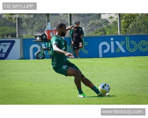 弗拉门戈与戈亚斯对决前瞻分析及比赛预测展望