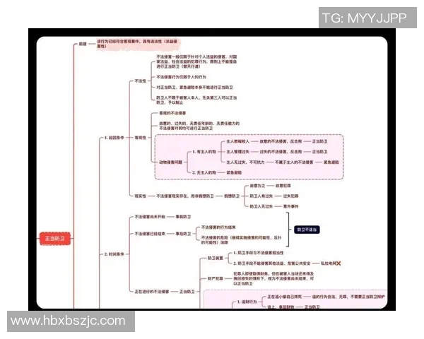 防卫者与艾度思维的较量:探讨两种思维方式的异同与启示 防卫者与艾度思维的较量:探讨两种思维方式的异同与启示