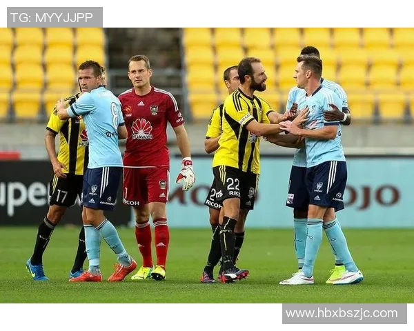 惠灵顿凤凰对阵墨尔本城精彩直播全程回顾与赛后分析 惠灵顿凤凰对阵墨尔本城精彩直播全程回顾与赛后分析