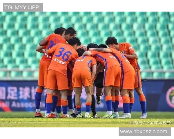 赞岐与冈山绿稚的激烈对决解析与赛季前景展望